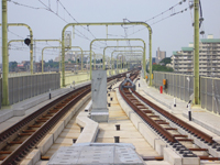 Floating Ladder Track with Concrete Bed